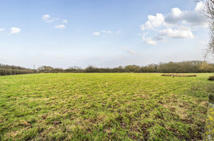 Photo 21- click for photo gallery